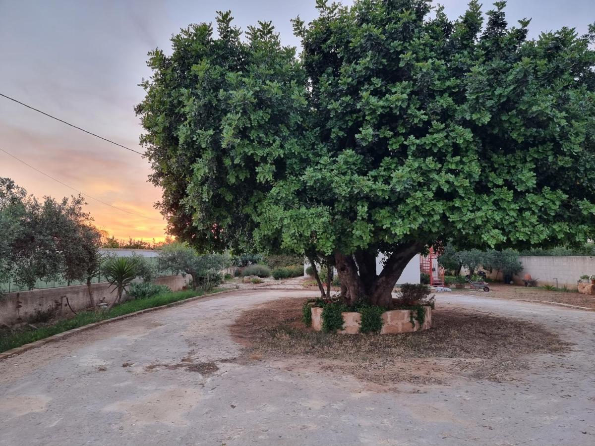 Al Vecchio Carrubo - Lovely 2-Rooms House & Patio มาร์ซาลา ภายนอก รูปภาพ